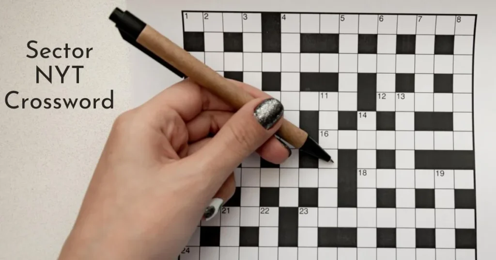 Sector NYT Crossword