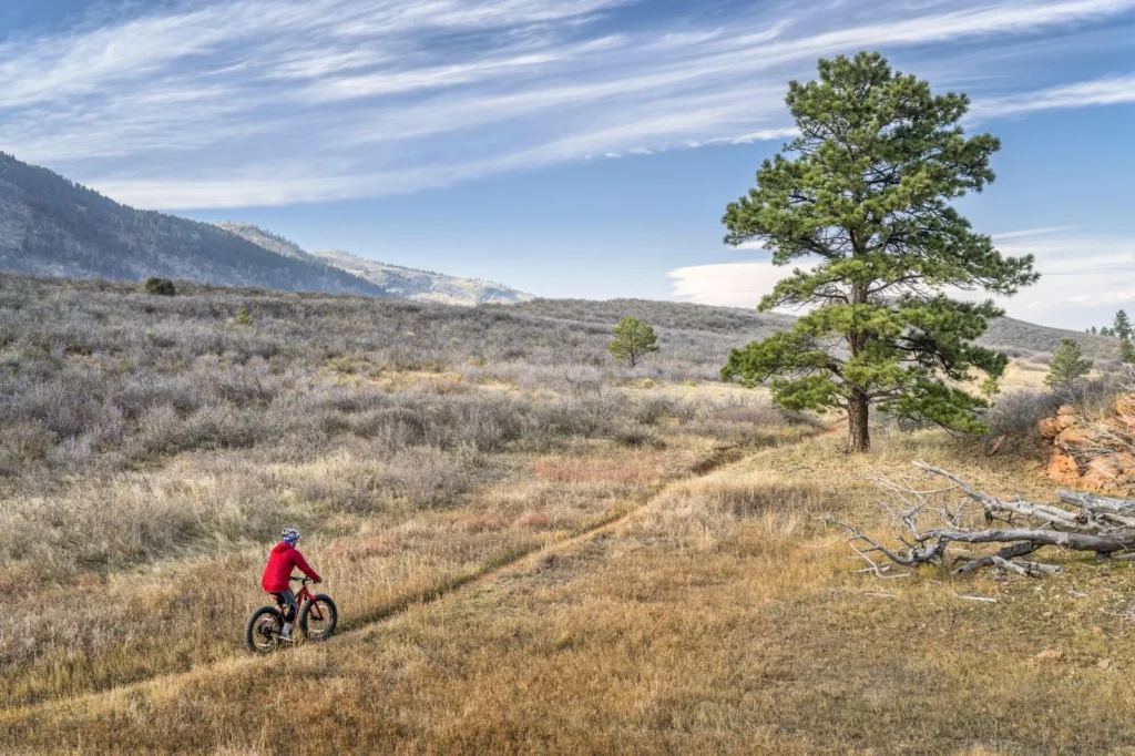 tires for bikes