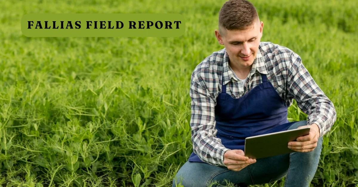 fallias field report