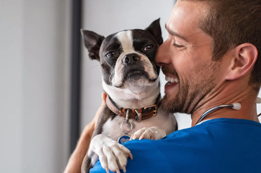 dragon fruit for dogs