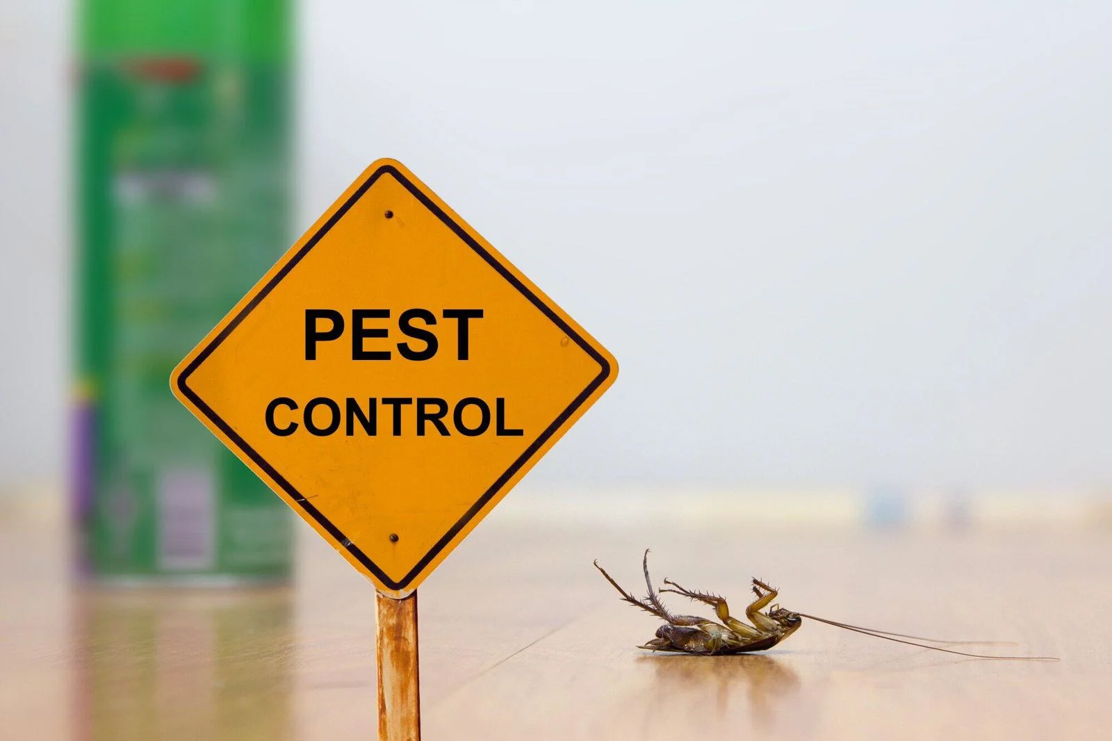 affordable termite and pest control