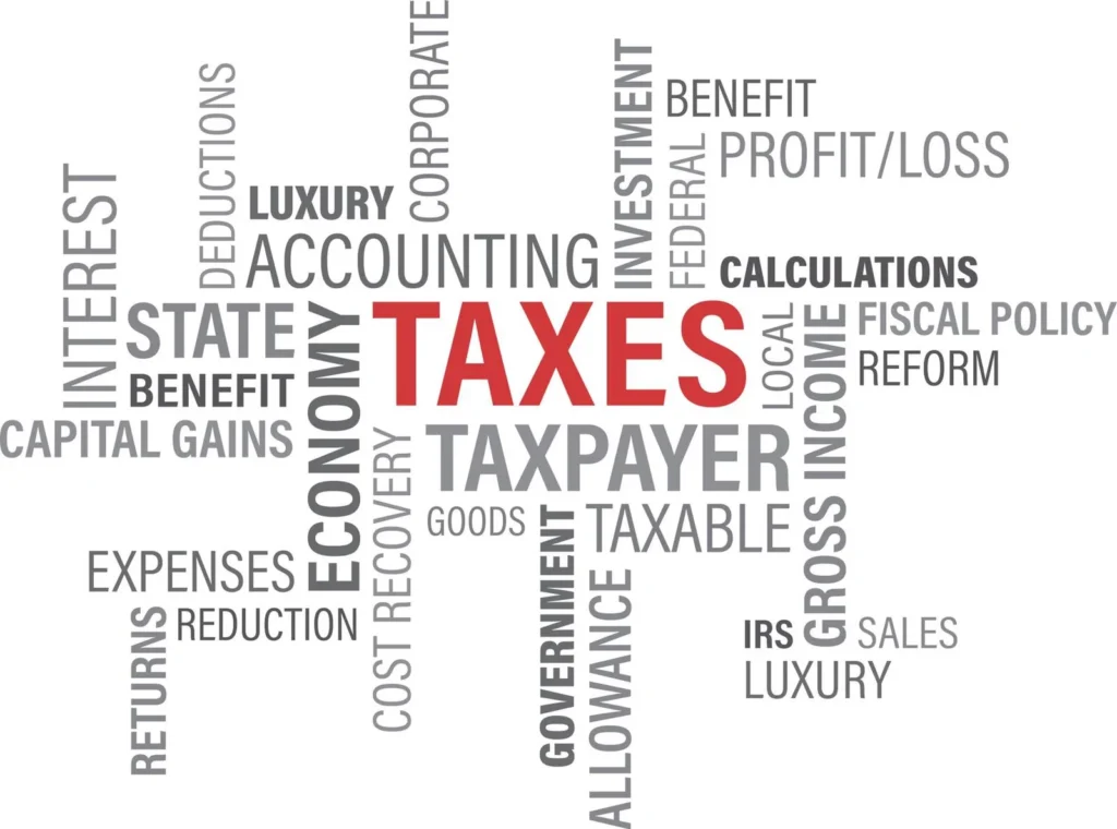 expert tax services