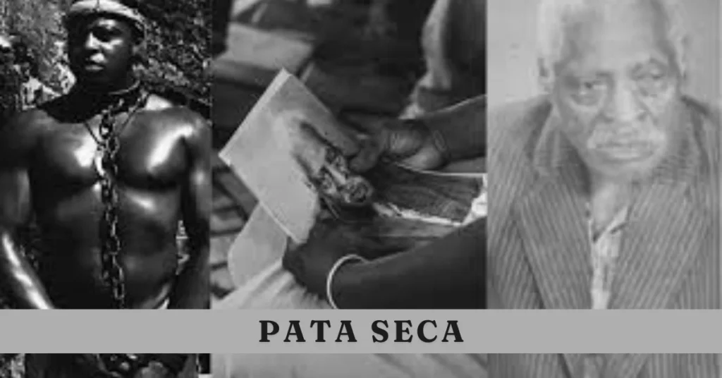 pata seca