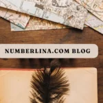 numberlina.com blog