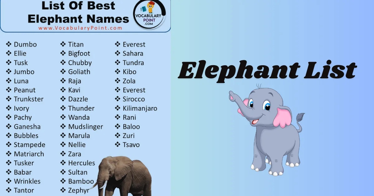 elephant list