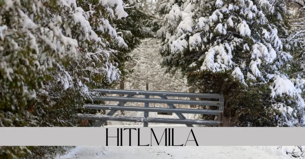 hitlmila