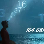 164.68111.161